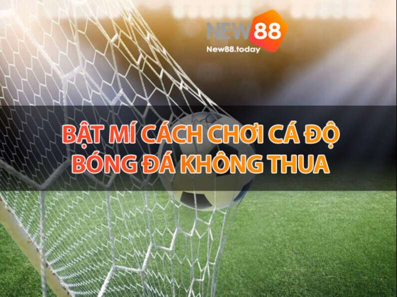 Bật mí cách chơi cá độ bóng đá không thua