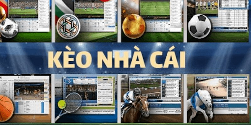 Tuỳ vào mỗi nhà cái mà họ đưa ra các tỷ lệ kèo thích hợp