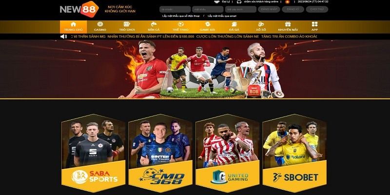 Cá độ bóng đá NEW88 quy tụ các giải đấu nổi tiếng